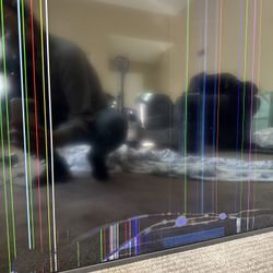 $1 Moved And Got Damages 