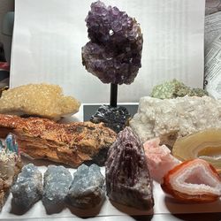 Beginners Collection Starter Kit