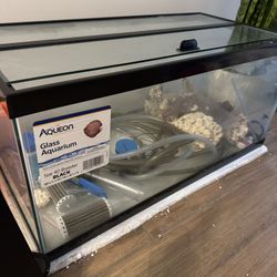 🐟 Aqueon 40-Gallon Breeder Aquarium + Glass Top (Bundle or Separate)