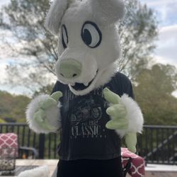 Fursuit Partial 