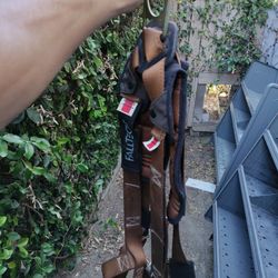 Harness