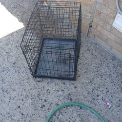 Dog Cage 