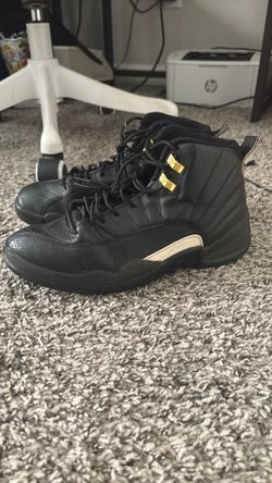 Air Jordan 12s (Master)