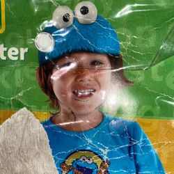 Cookie Monster Costume