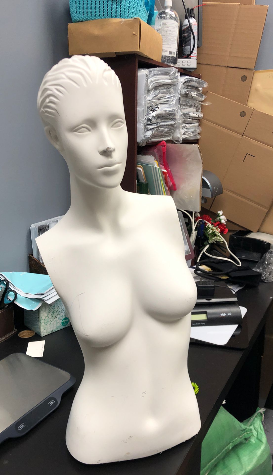 Female mannequin torso missing arms