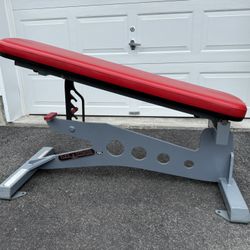 Flex Fitness Systems, Fully Adjustable Commercial Gym Weight Bench