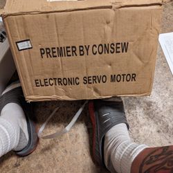 Sewing Machine Motor 