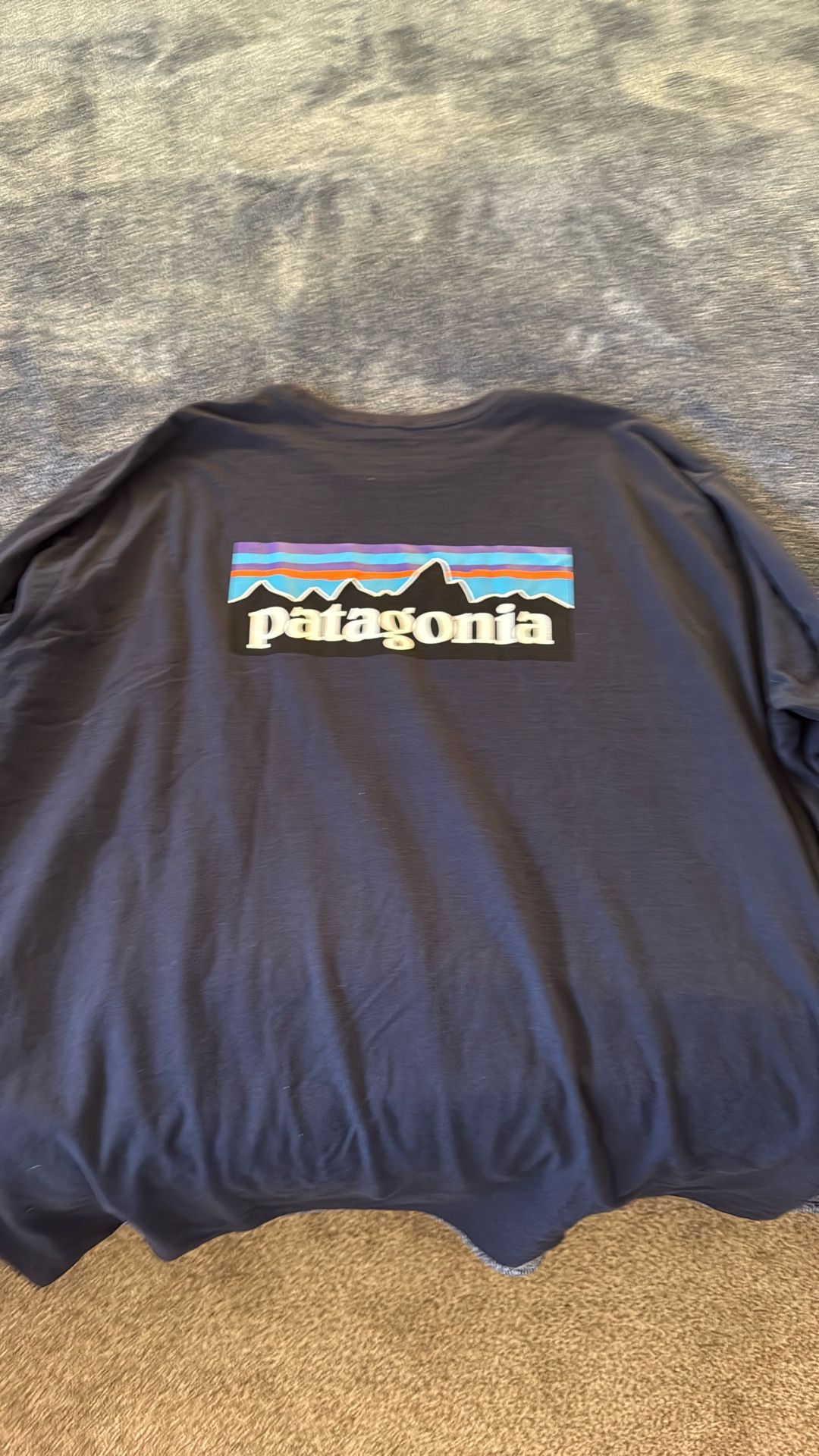 Patagonia Responsibili-Tee