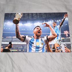 Messi World Cup Winner Picture