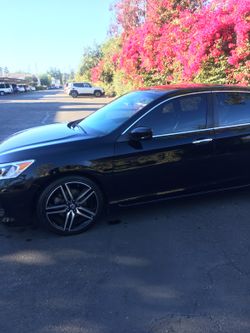 Honda Acoord sport 2016 salvaje