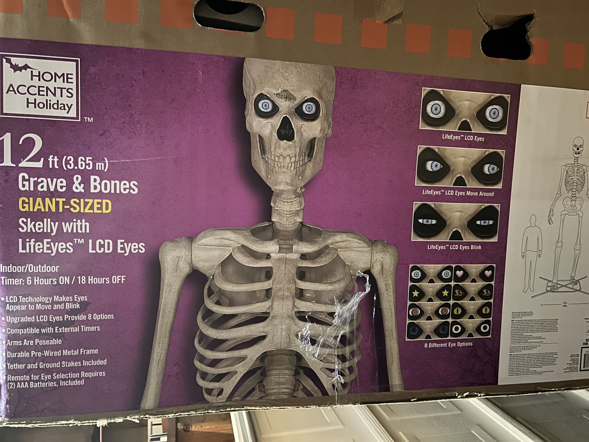 12ft Skelly