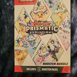 1 Prismatic Bundle 