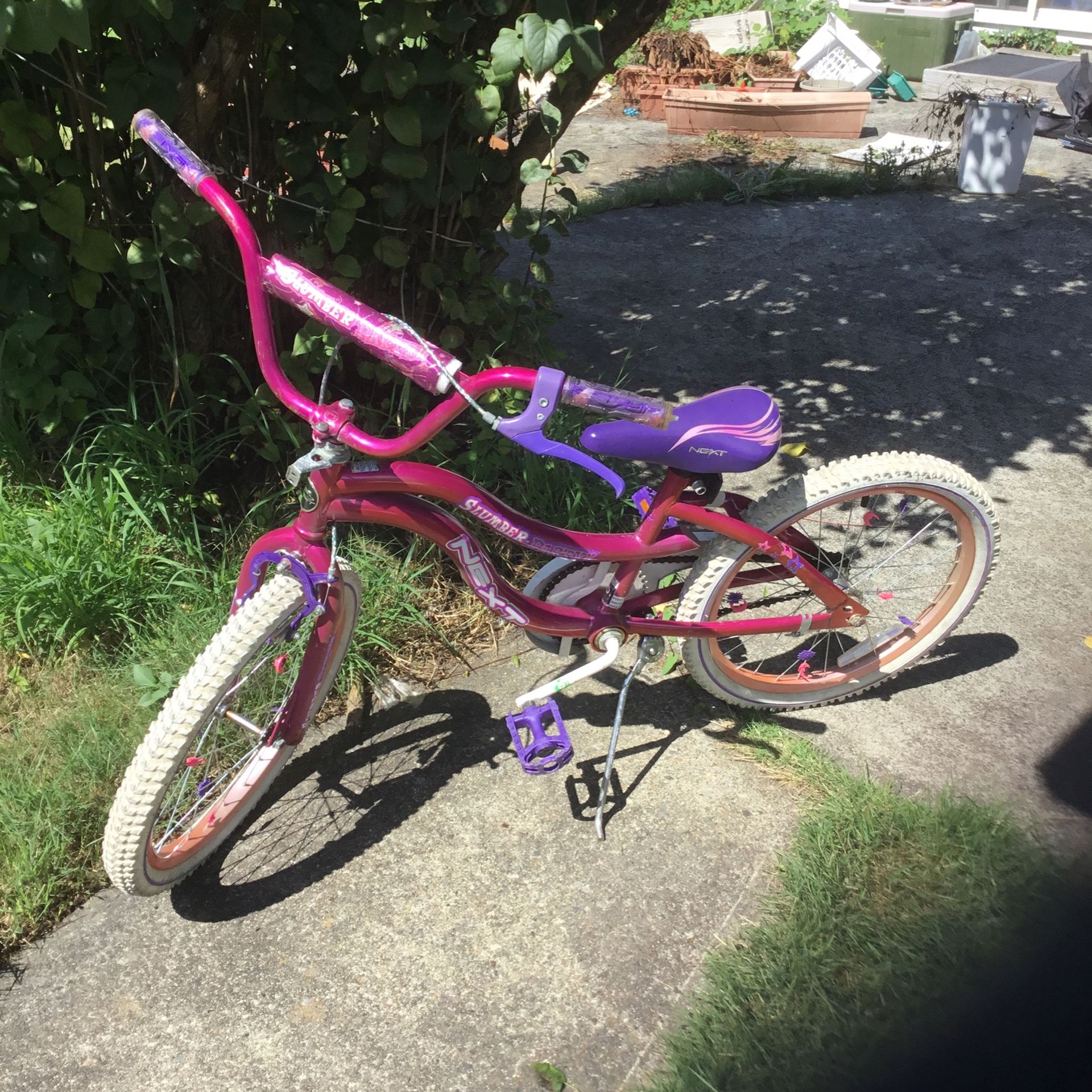 20” Girls Bike