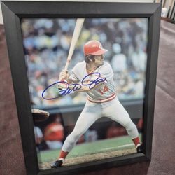 Pete Rose Signed Picture
