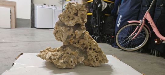 Beautiful Unique Reef Rock Piece (Saltwater Aquariums)
