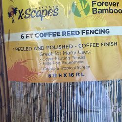 Bamboo Fencing