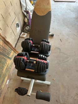 Bowflex 552 dumbbells and bench
