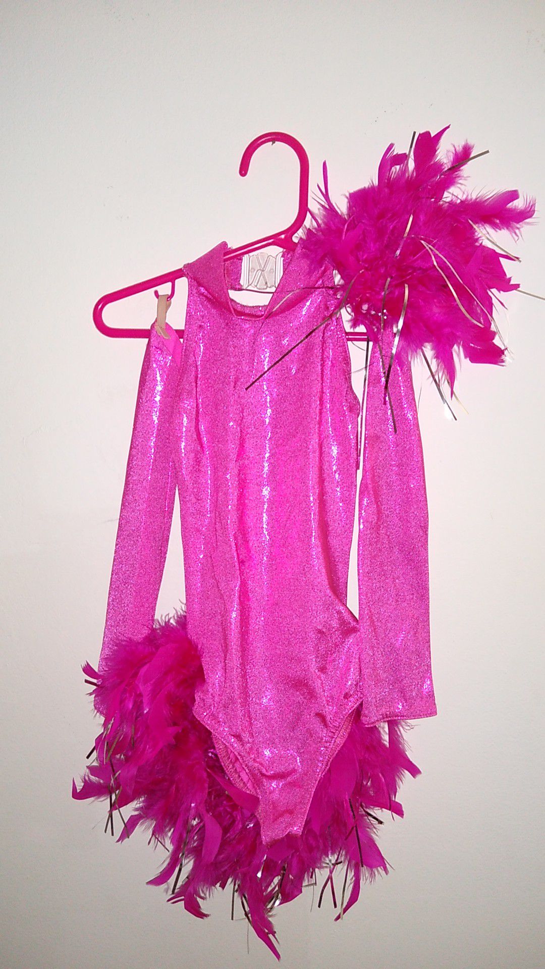 Girl's Sparkle and Feather Costume