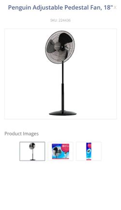 18 Inch Penguin Fan 