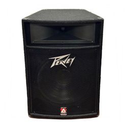 Peavey TLS 5 PA Speaker