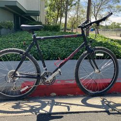 Classic Specialized Stumpjumper - Tange CrMo Steel - Retro MTB