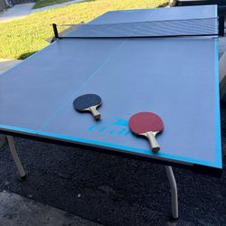 Ping Pong Table 