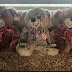 Valentines Teddy Bears $20