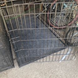  Dog Kennel  