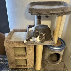 Large Cat Tower & Condo (cat not included)