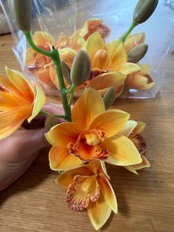 Faux cymbidium orchid blooms