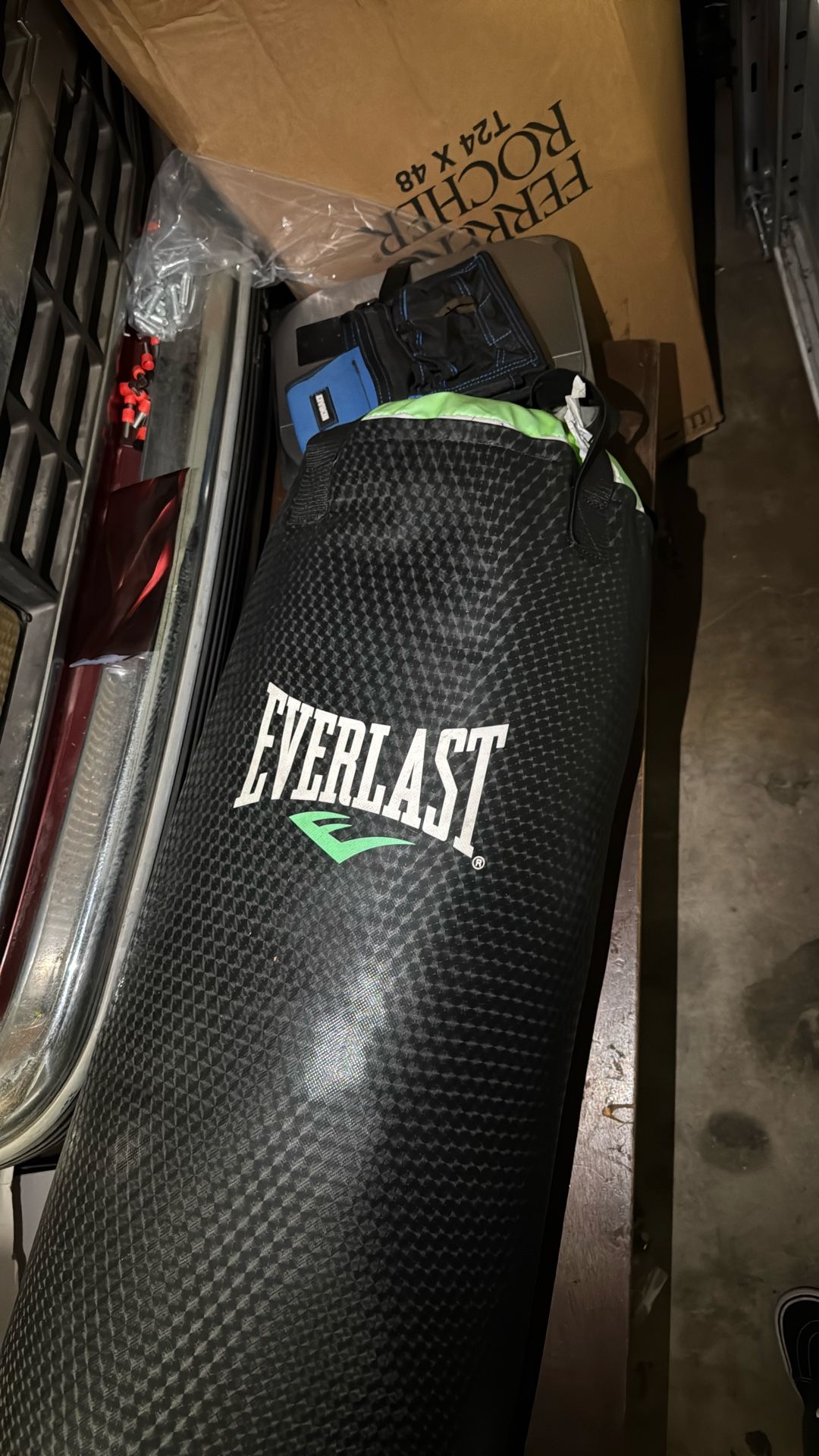 Everlast Punching Bag