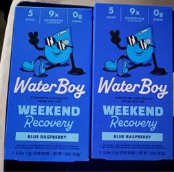 WaterBoy Weekend Recovery Electrolyte Mix 2-Pack