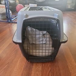 Small Dog/cat Pet Carrier