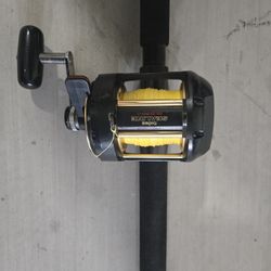 Daiwa Sealine SLD30 II 2-Speed Reel & Penn Carnage Gen 1 Heavy Rod Combo

