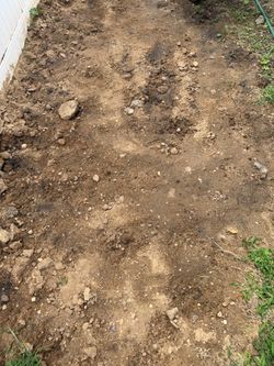 Free soil