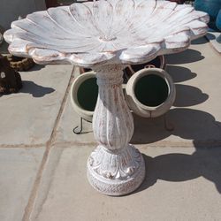 Pajarera (Bird Bath)