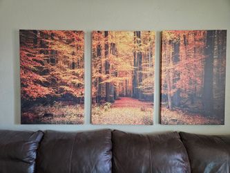 Three of them.  Each 3 ft x  2 ft  asking $20 obo
