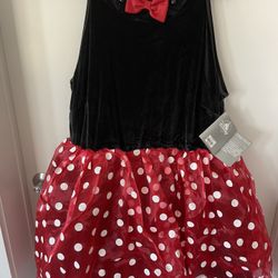 Disney Mini mouse Costume/dress