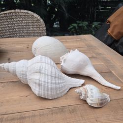 3 Couch Shells And 1 LG. Mellon