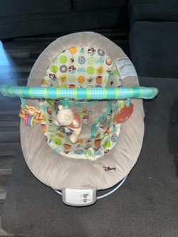 Winnie the pooh bouncer