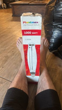 1000watt Bulbs 