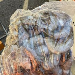 Camaron Fresco Recien Llegado!!