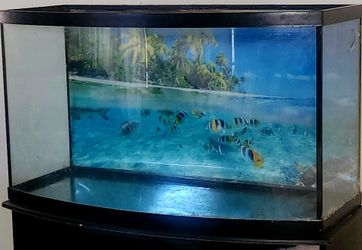 65 Gallon Aquruim