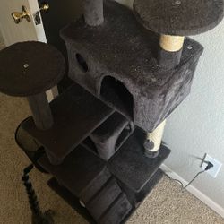 Cat Tower
