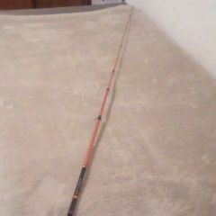 DAIWA  D|FORCE:  6'6  Medium - 2PC