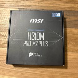 H310M Pro-M2 Plus Motherboard / Crucial Ballistix Ram