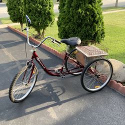 Used adult tricycle for sale near me sale
