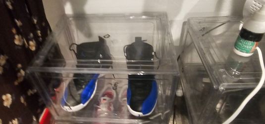 Jordan's