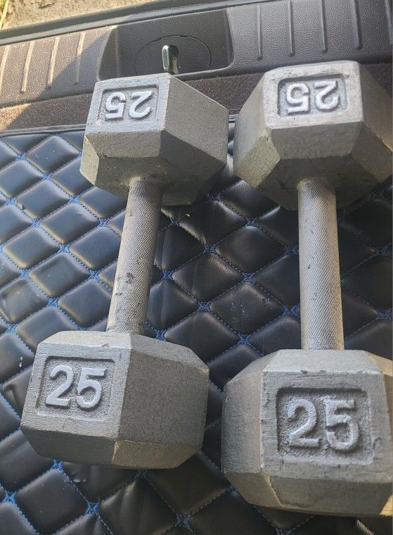 25lb. Pair Of Dumbbells