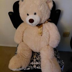 Teddy Bear 19114 Zip Only Meet By 4pm NE Philly Still Available 